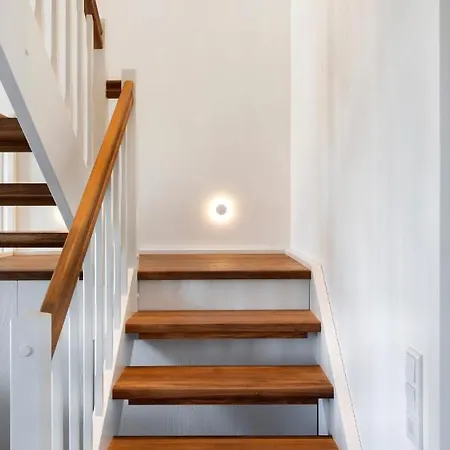 Reetdorf Geltinger Birk Kuenstlerkate Eisvogel *